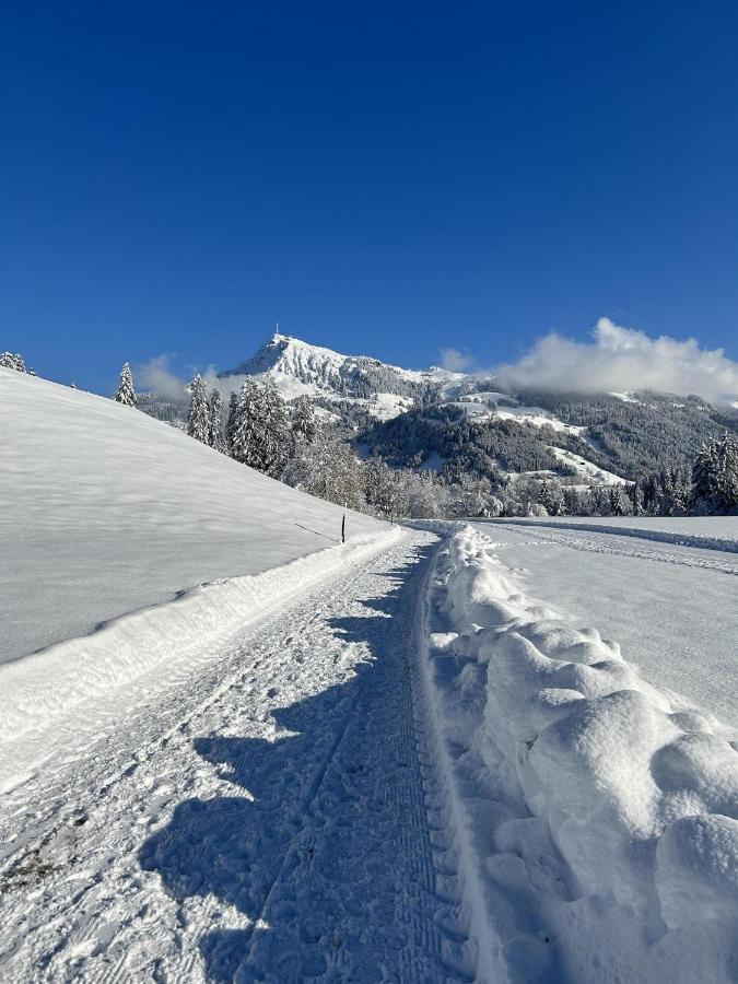 Waldnest Leilighet Kitzbühel Eksteriør bilde