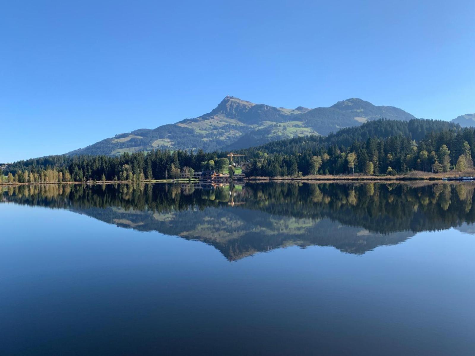 Waldnest Leilighet Kitzbühel Eksteriør bilde