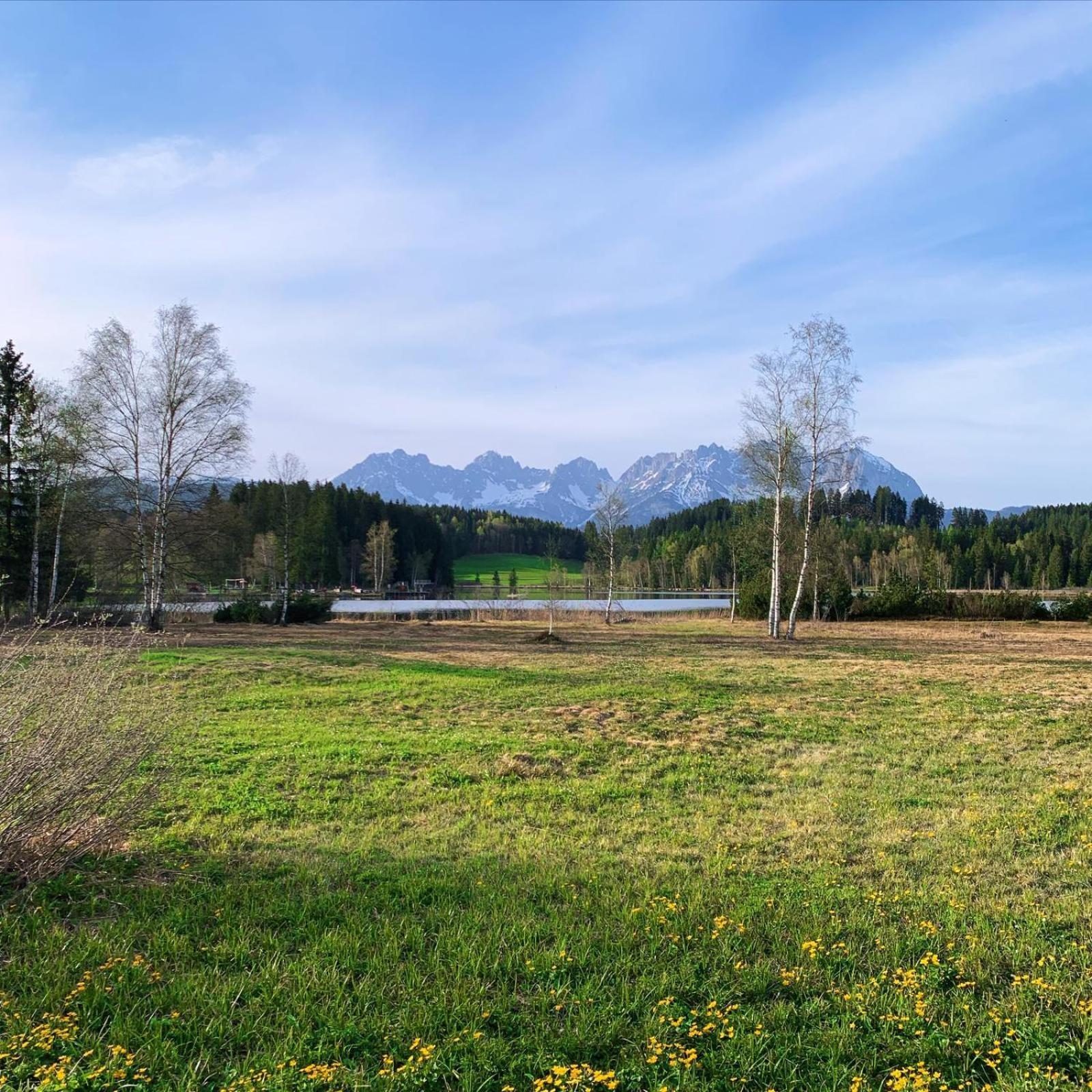 Waldnest Leilighet Kitzbühel Eksteriør bilde